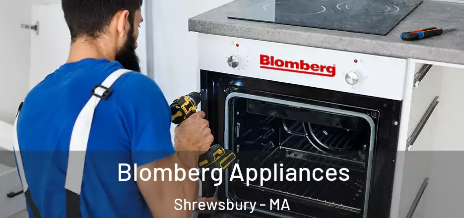 Blomberg Appliances Shrewsbury - MA