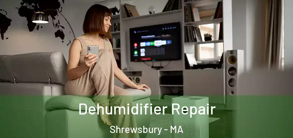 Dehumidifier Repair Shrewsbury - MA