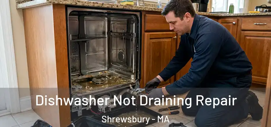 Dishwasher Not Draining Repair Shrewsbury - MA