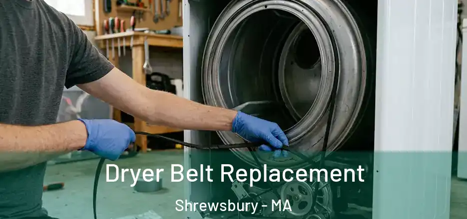  Dryer Belt Replacement Shrewsbury - MA