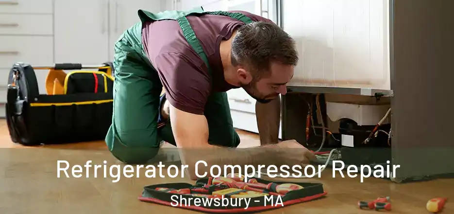 Refrigerator Compressor Repair Shrewsbury - MA