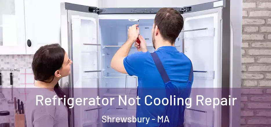 Refrigerator Not Cooling Repair Shrewsbury - MA