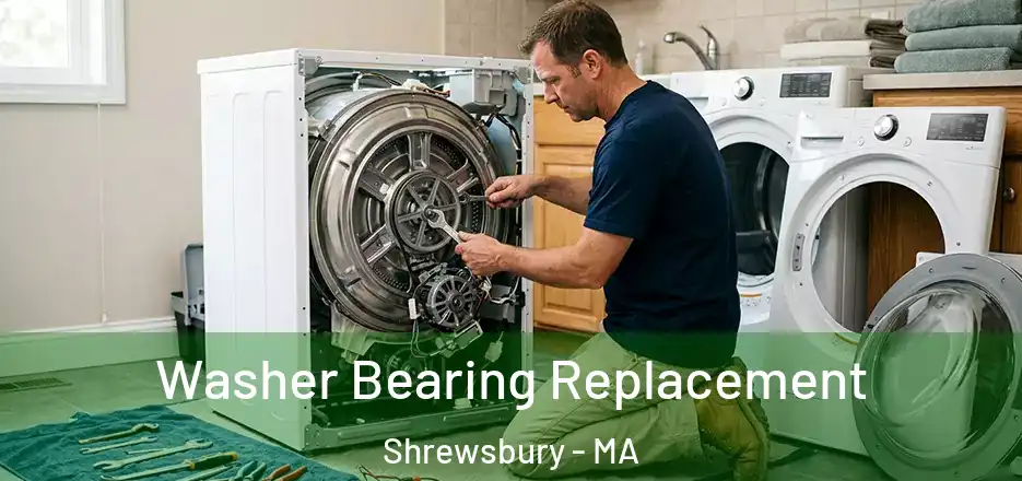  Washer Bearing Replacement Shrewsbury - MA